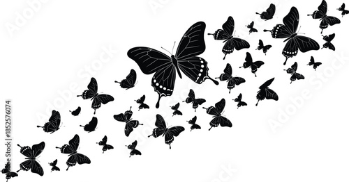 Set of black butterfly silhouettes flying in a decorative wave pattern, swarm of beautiful insects isolated on white background, nature.