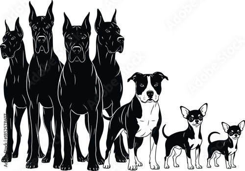 Set of various dog breed silhouettes from large Great Danes to small Chihuahuas, canine pets isolated on white background, animal collection.