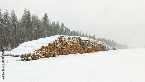 A stack of cut timber lies in the snow. A pine forest is in the background. Snow is falling heavily.