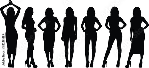 Silhouette of professional business group for corporate success with teamwork unity and diversity in a modern collaborative office environment background