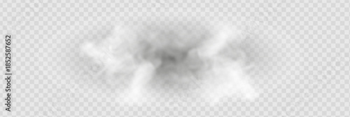 Fog or smoke isolated transparent background. White cloud, fog, smog, dust, steam.