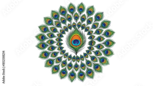 A vibrant peacock's colorful plumage spreads out in a circular pattern on display