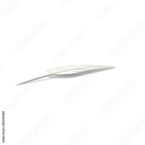 Minimal white feather illustration realistic style isolated