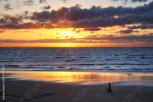 Walking dog on beach in Normandy coast. Hauteville-sur-Mer Plage village