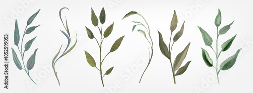 Watercolor green branches with delicate foliage and natural stems. Hand painted plant greenery, botanical sprigs and organic branch arrangements for wedding invitations. Elegant sprigs design.