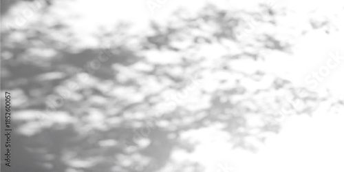 Abstract gobo light texture on concrete background. Vector realistic illustration of tree leaf and sunlight shadows on wall, natural pattern with floral silhouettes on white surface, summer garden bg