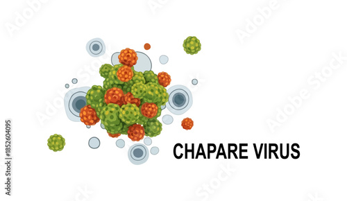 Chapare Virus Hemorrhagic Fever Pathogen Illustration