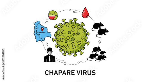 Chapare Virus Hemorrhagic Fever Transmission Concept Illustration