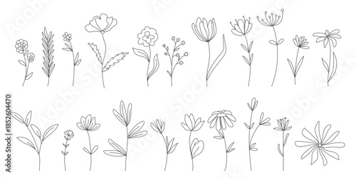 Outline illustrations of flowers and herbs. Botanical hand drawn ink set. Blooming and greenery doodle sketch style vector elements