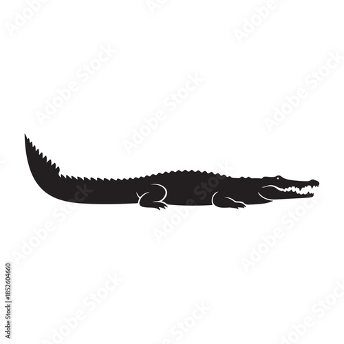 A striking silhouette of a large crocodile or alligator rests calmly on a stark white background showcasing its form