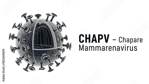Chapare Mammarenavirus CHAPV Virus Structure Illustration