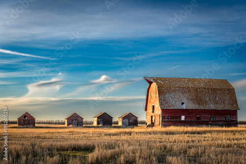 Golden light on a large abandoned red barn and 4 granaries on the prairies in Saskatchewan
