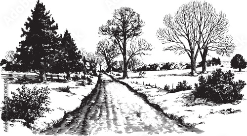 Black and white engraving of a snowy path through trees. Vintage winter landscape vector illustration depicting a serene scene.