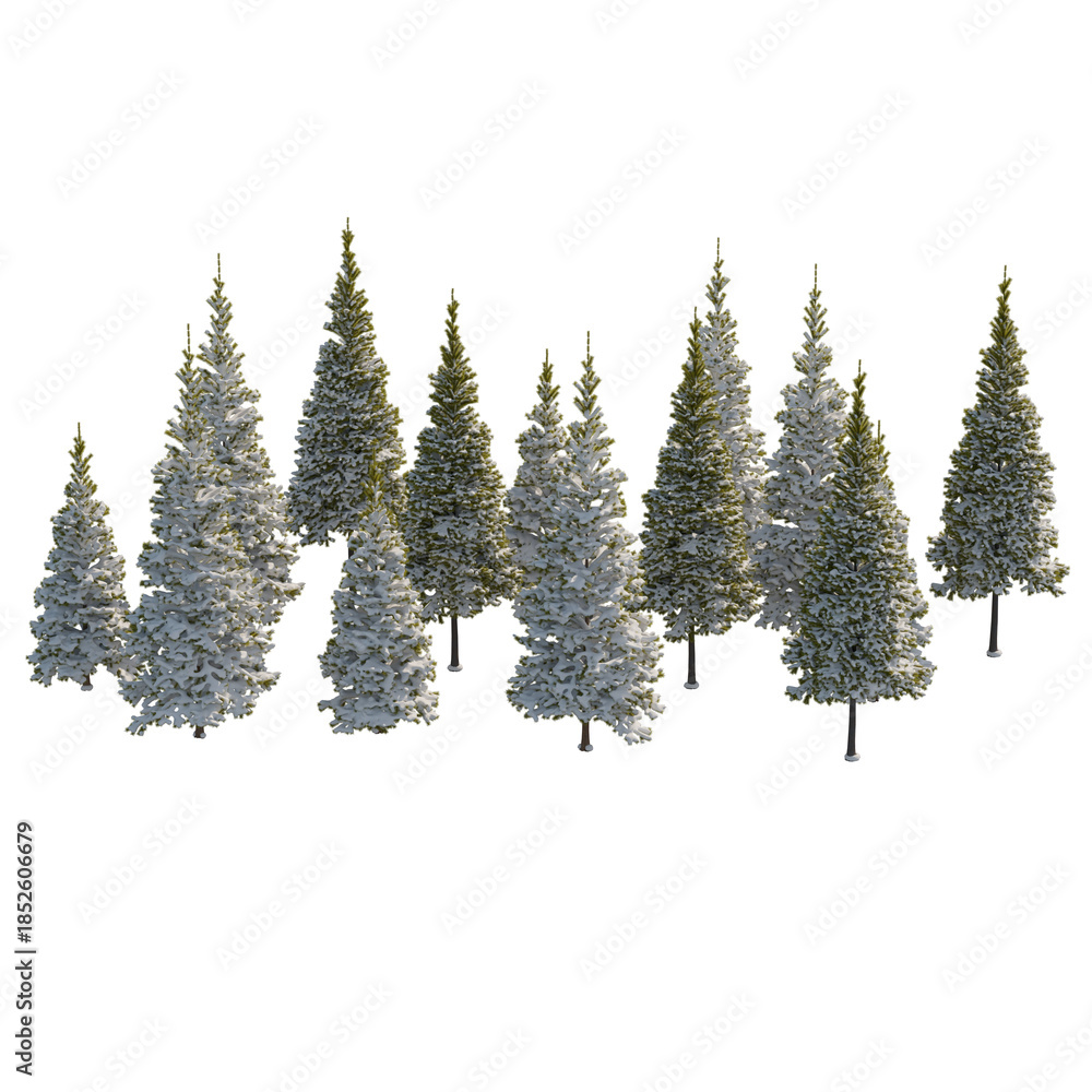 Fototapeta premium Fir (conifer) snow covered set isolated transparent background 3d rendering PNG 16 bit with alpha channel 