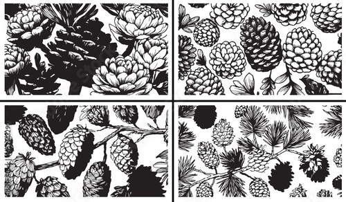 botanical fruit illustration vector, pine cone clipart, nature fruit svg, forest botanical drawing, seed pod illustration, black botanical artwork, plant fruit vector art, woodland nature design, bota