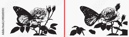 butterfly flower clipart, meadow nature illustration, floral butterfly art, hand drawn insects flowers, garden nature sketches, black white butterfly clipart, printable floral insects, botanical illus