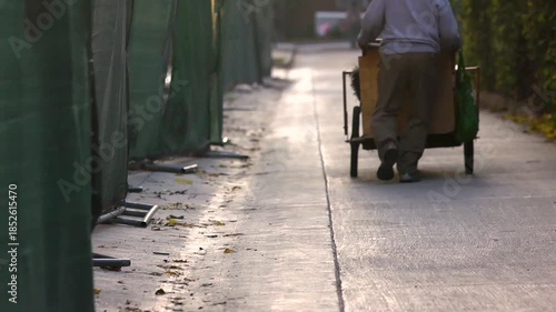 Wallpaper Mural Man pushing cart to homeless encampment Torontodigital.ca