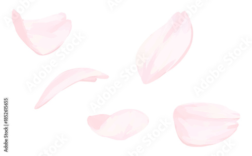 桜_手描きイラスト_舞い散る花びらCS2