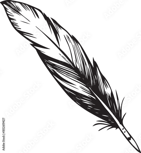 Graceful bird feather sketch detailed isolated on transparent grid background
