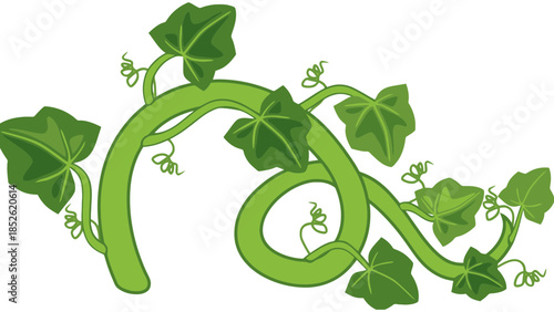 Vibrant green vine with heart-shaped leaves curves gracefully, symbolizing growth and nature's elegance.