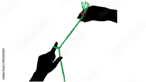 Hands skillfully tying a knot with green string on a white background