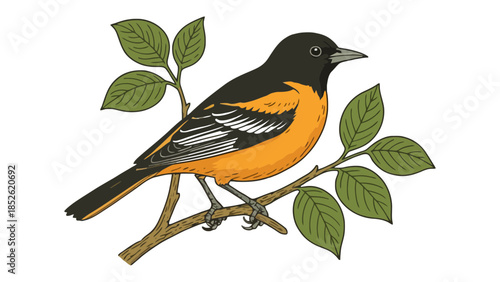 Vibrant orange and black bird perched on a leafy branch in nature