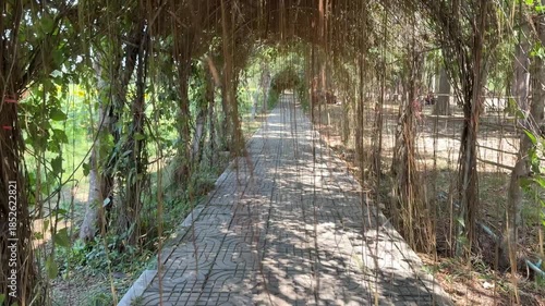 a long concrete path covered with thin vines