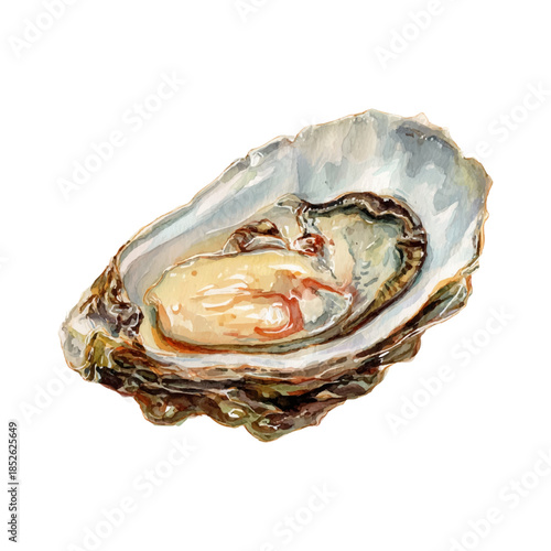 Fresh oyster watercolor illustration depicting raw seafood delicacy, an appetizing marine food ingredient with shell, isolated on transparent background symbolizing gourmet dining