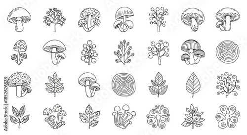 Collection of Hand Drawn Botanical Elements and Mushrooms.