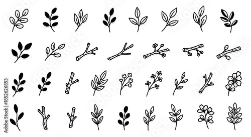 Collection of Hand Drawn Botanical Elements and Twigs.