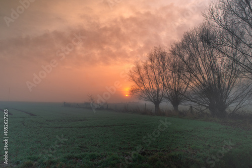 Nebliger Sonnenaufgang über Feldlandschaft mit Bäumen , Ein nebliger Morgen zeigt eine ruhige Feldlandschaft mit Bäumen am Horizont, während die Sonne warm durch den Dunst aufsteigt. Weiche Farbverläu