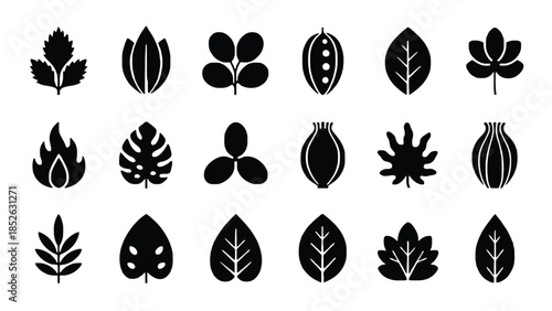 Collection of various leaf and seed icons in black silhouette on white background