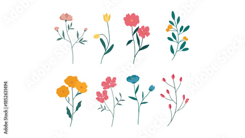 Colorful illustration of various flowers on white background, floral design elements
