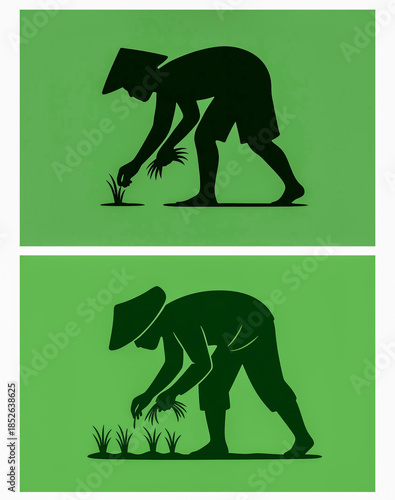 Farmers planting rice in green field
