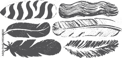Black and white feather graphics in a modern style. This vector illustration features a unique collection with various patterns.
