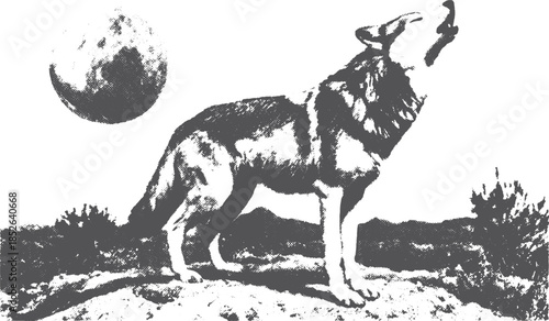 Wolf howling at the moon in black and white. Silhouette vector illustration featuring a mystical landscape set in a wilderness setting.