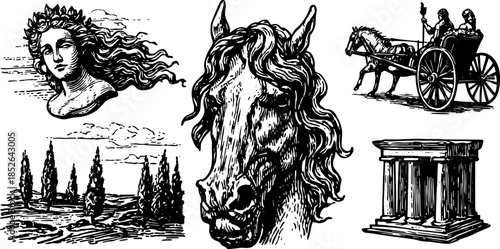 Horse head and chariot illustration in black and white vintage style. Classical elements, including cypress trees, presented as a vector set.