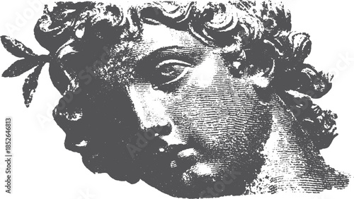 Classical statue head with fine details. Black and white vector illustration showcasing vintage art style and Greek heritage.