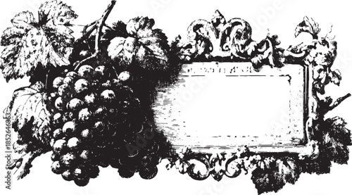 Grapes and vine ornament in black, vintage style. Detailed vector illustration ideal for labels or banners, showcasing elegance and classic design.