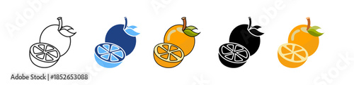 Orange Fruit Selection multiple icon