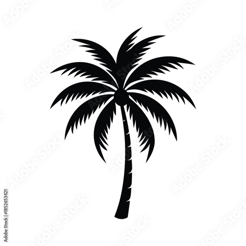 Palm tree silhouette vector