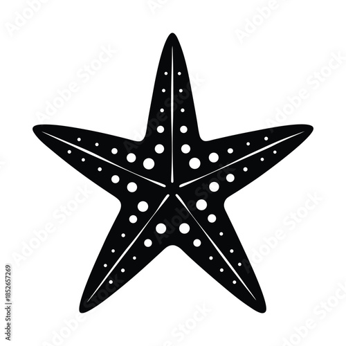 Starfish on white background