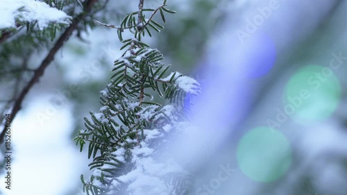 冬のイベント背景素材 雪とイルミネーションの風景