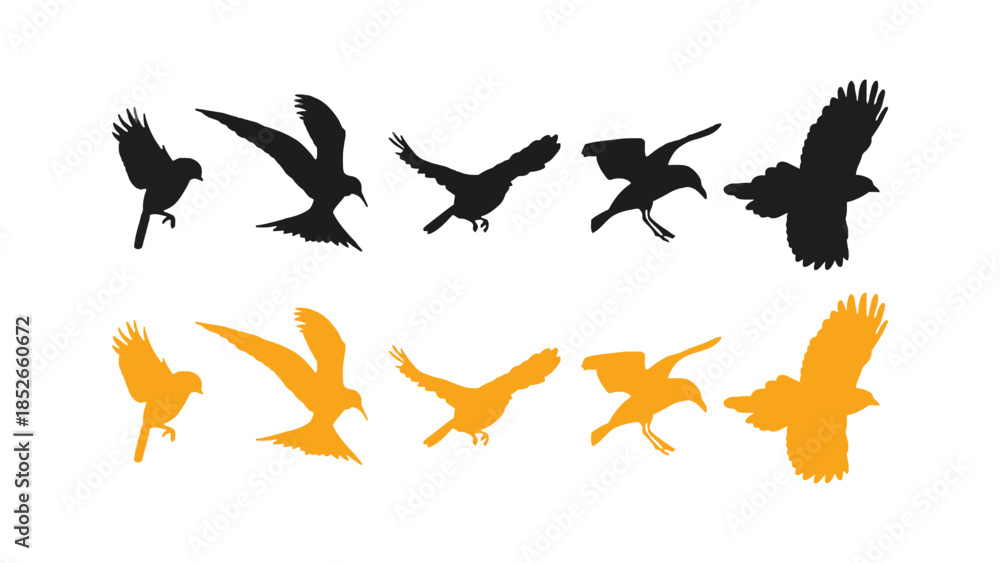 Naklejka premium Colorful bird silhouettes in flight, various species and poses, white background