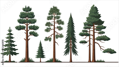 Black Tree Silhouette Set Side-View Oak, Maple, Birch, Poplar & Tropical for Architectural Drawings