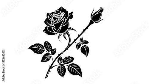 Elegant black rose with thorns and leaves on stem