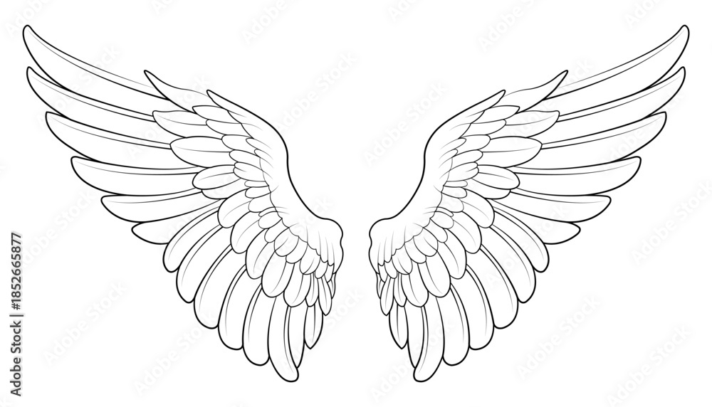 Obraz premium angel wings vector