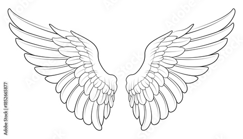 angel wings vector
