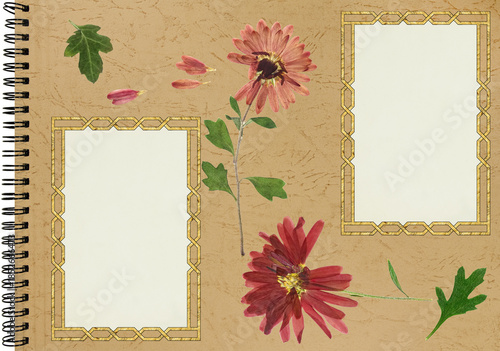 Photo album layout with empty photo frames and dried flowers. Page for history. Scrapbook composition with floral element. Page from photo album. Pressed and dried aster flowers.