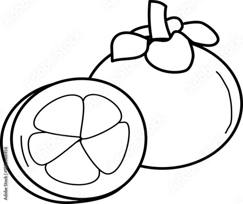 outline illustration of mangosteen for coloring page